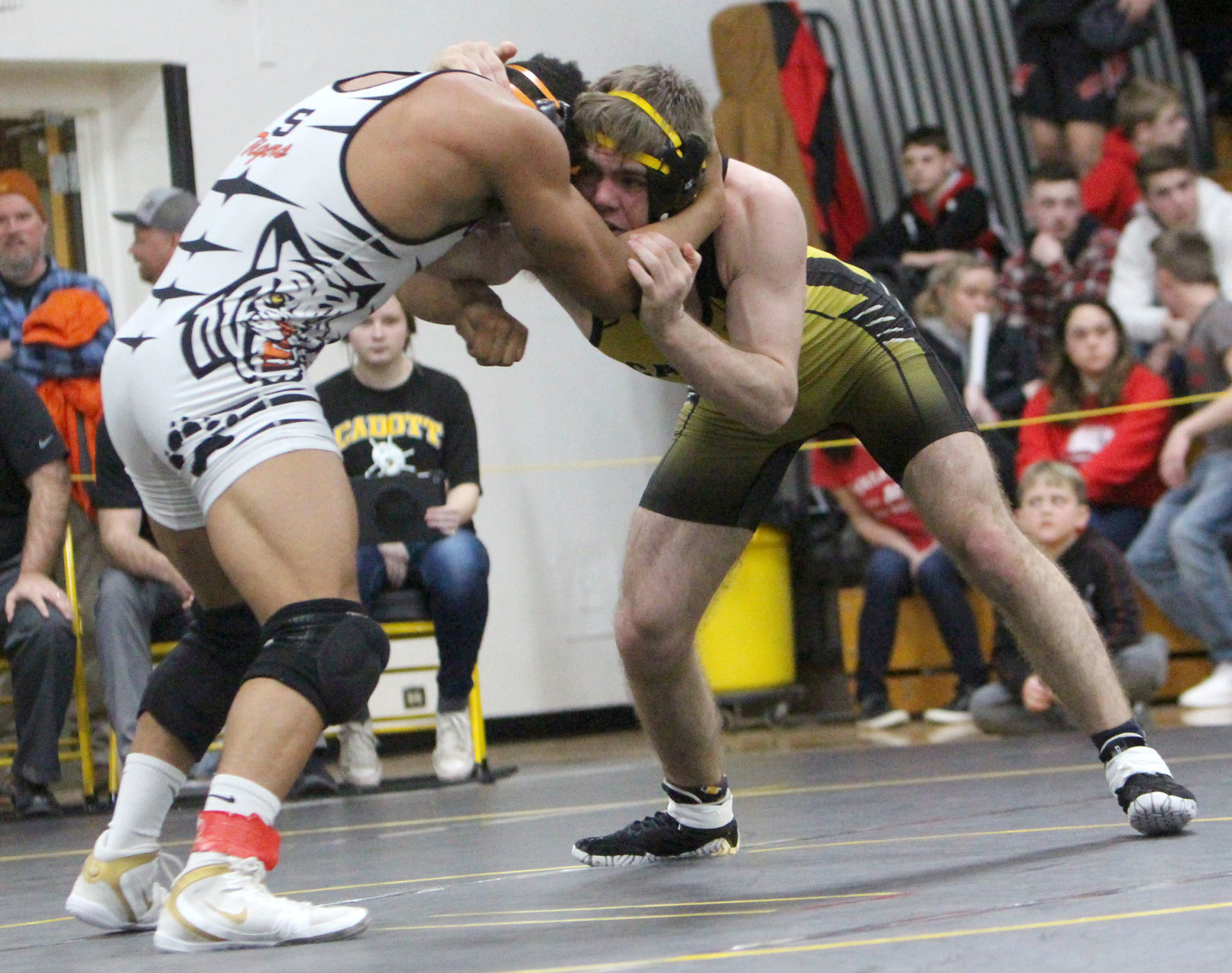 Division 3 Wrestling Regional at Cadott 2-15-20